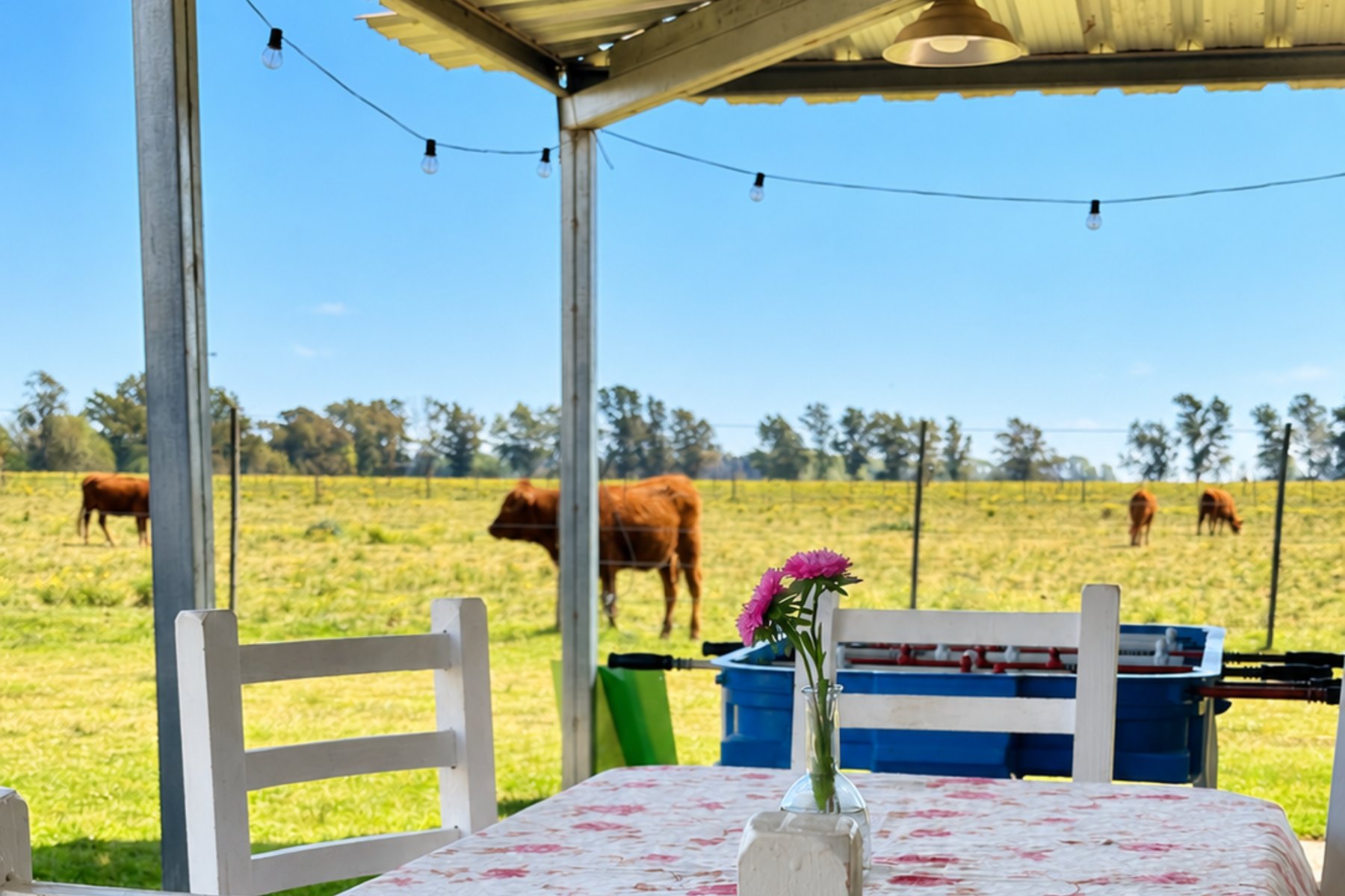 Pieza para redes de El Retiro Areco (galeria)